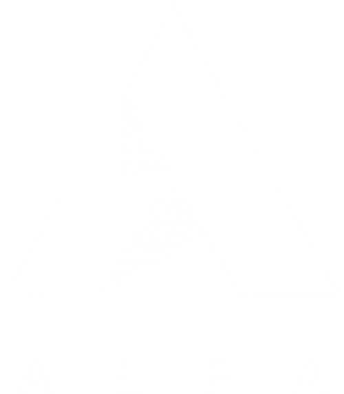 High School Program – THE ALFA PROJECT